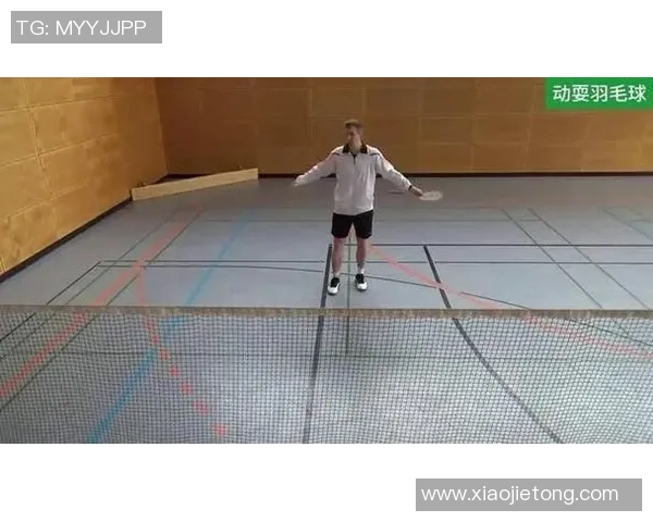 科学乒乓球速度训练方法揭秘提升反应与击球能力的有效技巧