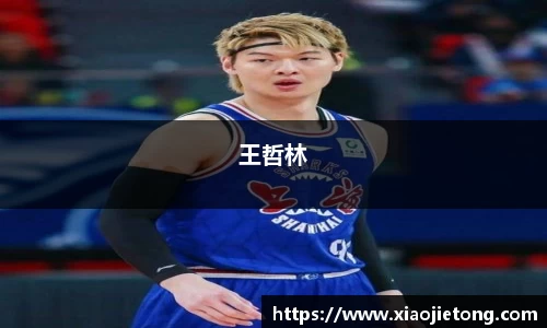王哲林